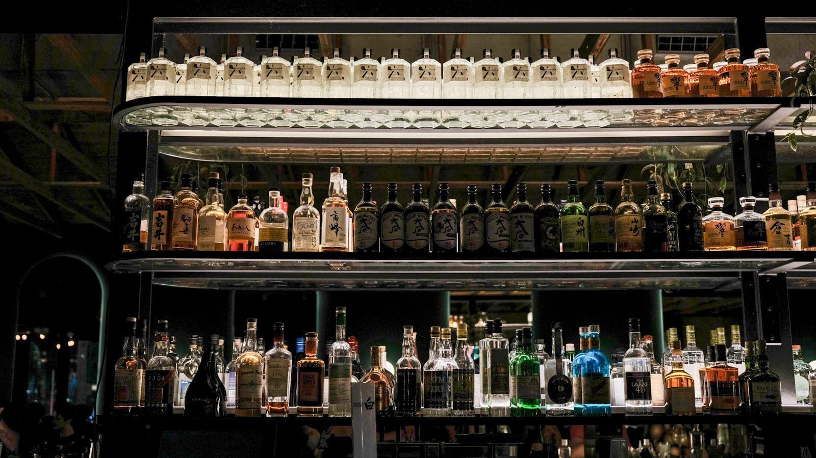 Hidden Sake Bars of Shinjuku